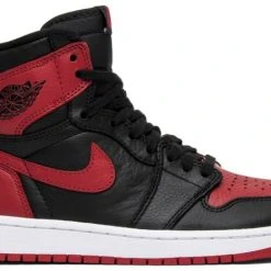 Sole Supremacy Air Jordan 1 Retro High OG NRG "HOMAGE TO HOME"